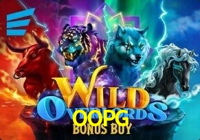  OOPG