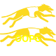  OOPG